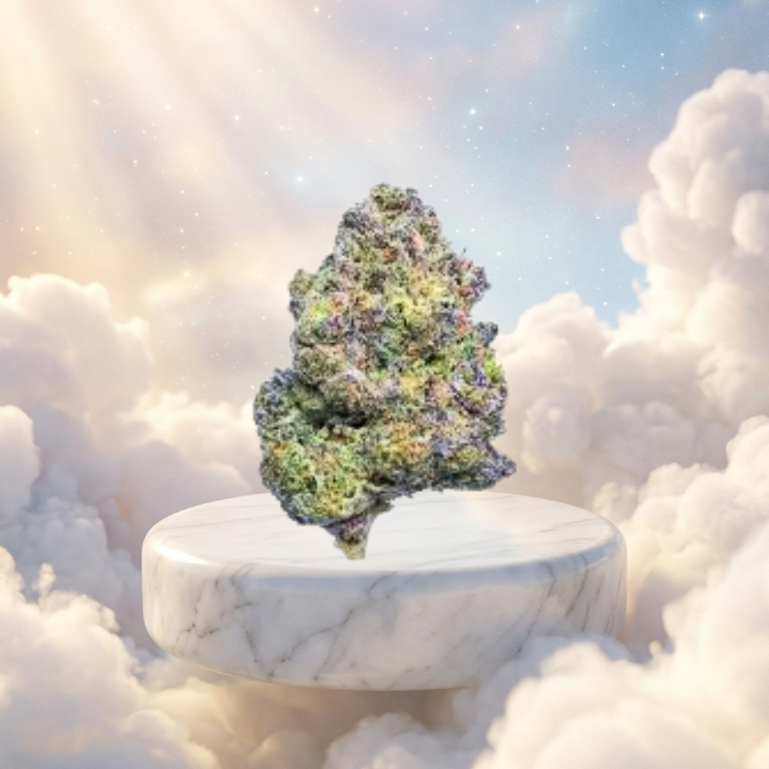 King Louie Kush 14G • Flower Jar